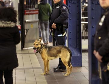 Nueva York enviará 800 policías más al metro para impedir la evasión en el pago de viajes