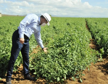 Gobierno inyecta 767 millones de pesos para reacitivaci&oacute;n del sector agropecuario