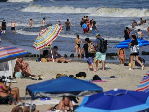 Informe revela niveles alarmantes de contaminaci&oacute;n fecal en playas de Nueva York