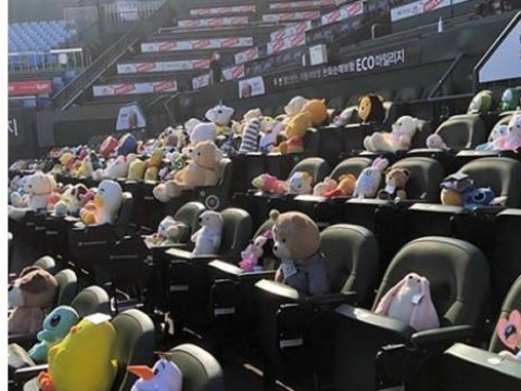 Corea del Sur ''llena'' con peluches estadios de b&eacute;isbol