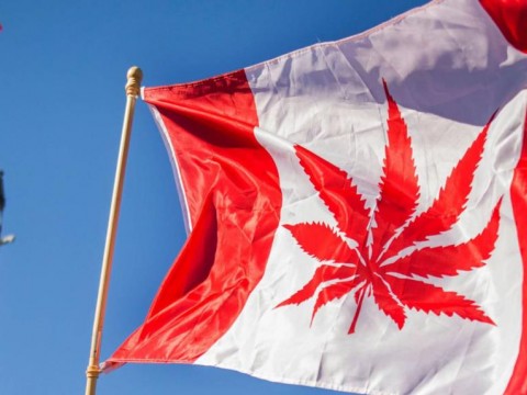 Canad&aacute; permite a una compa&ntilde;&iacute;a producir y vender coca&iacute;na