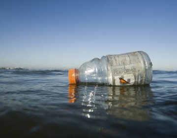 La inundaci&oacute;n de pl&aacute;stico se extiende ya por todo el &Aacute;rtico