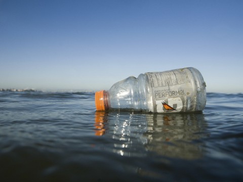 La inundaci&oacute;n de pl&aacute;stico se extiende ya por todo el &Aacute;rtico