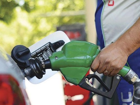 Gobierno congela precios de los combustibles