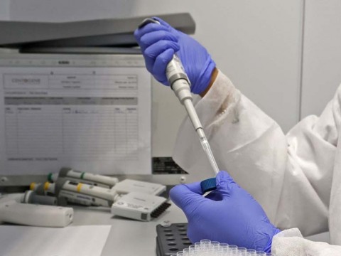 516 nuevos contagios y 15 fallecidos por coronavirus