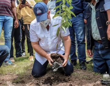 Gobierno auditar&aacute; incentivo a tierras agr&iacute;colas porque "muchos que nunca han visitado el campo se benefician del programa"