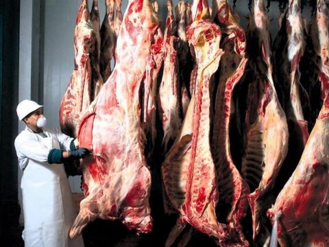 Agrocarne logra certificaci&oacute;n de calidad