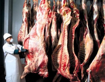 Agrocarne logra certificaci&oacute;n de calidad