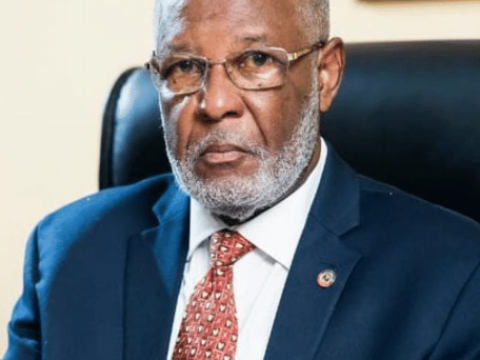 Canciller haitiano sobre deportaci&oacute;n de embarazadas: &ldquo;La soluci&oacute;n no se lograr&aacute; unilateralmente"