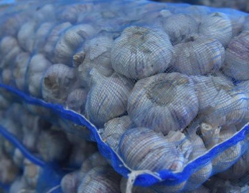 Precio del ajo importado en mercados sube 70 % a octubre