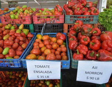 Inflaci&oacute;n interanual baja a 4.43 %
