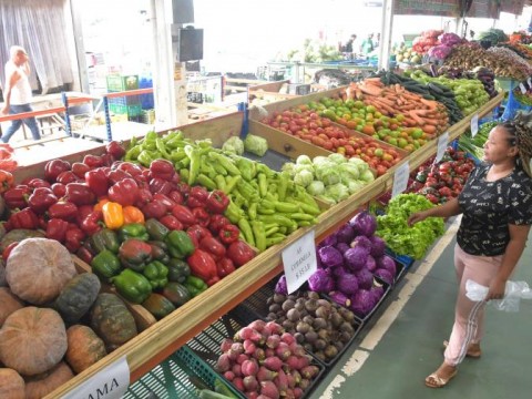 Costo de la canasta nacional cerrar&iacute;a 2023 sobre los RD$44,500
