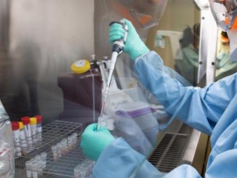 Aumentan a 293 los muertos por Coronavirus en el pais