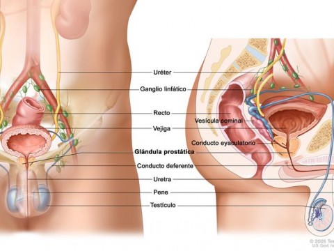 Los pacientes con c&aacute;ncer de pr&oacute;stata son cada vez m&aacute;s j&oacute;venes, seg&uacute;n experto