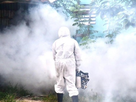 Ministerio de Salud intensifica acciones de prevenci&oacute;n y control del dengue en el pa&iacute;s