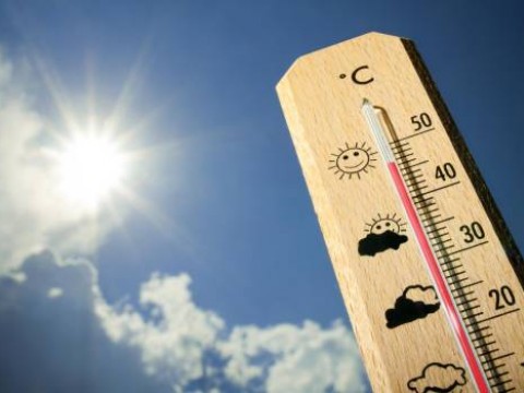 Es poco probable que altas temperaturas frenen el Coronavirus