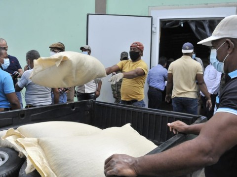 Inician entrega semillas a productores habichuelas de San Juan 