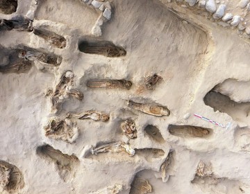 Detectan la presencia de coca y ayahuasca en las momias de dos ni&ntilde;os sacrificados por incas hace 500 a&ntilde;os en Per&uacute;