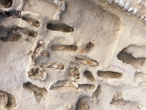 Detectan la presencia de coca y ayahuasca en las momias de dos ni&ntilde;os sacrificados por incas hace 500 a&ntilde;os en Per&uacute;