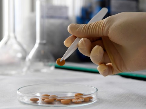 El f&aacute;rmaco contra el covid-19 fabricado en Rusia ser&aacute; gratis en el pa&iacute;s en el marco del seguro m&eacute;dico nacional