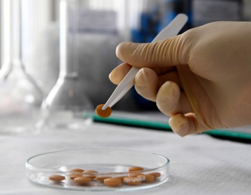 El f&aacute;rmaco contra el covid-19 fabricado en Rusia ser&aacute; gratis en el pa&iacute;s en el marco del seguro m&eacute;dico nacional