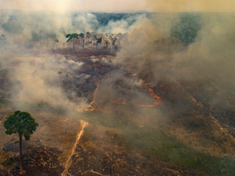 El humo por los incendios de Brasil se extiende 4.000 kil&oacute;metros y ya afecta a cinco pa&iacute;ses vecinos