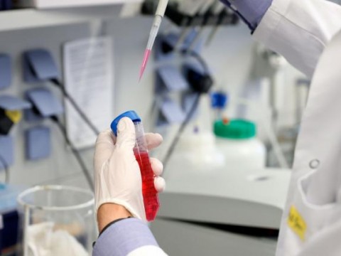 Oxford ya produce vacunas para venderlas en diciembre una vez testadas