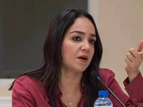 Faride Raful considera un &ldquo;chantaje&rdquo; declaraciones de la oposici&oacute;n de no ir a elecciones