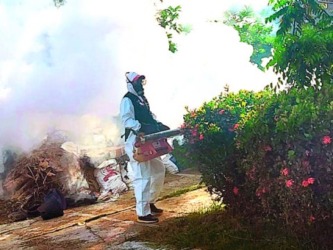 Al menos 25,000 casos de dengue reportados este a&ntilde;o