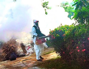 Al menos 25,000 casos de dengue reportados este a&ntilde;o