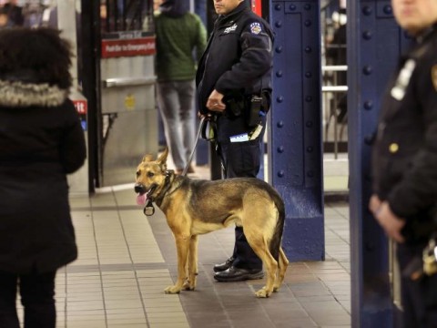 Nueva York enviar&aacute; 800 polic&iacute;as m&aacute;s al metro para impedir la evasi&oacute;n en el pago de viajes