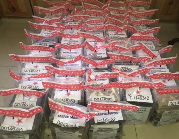 Incautaron 97 paquetes presumiblemente coca&iacute;na en Lucerna
