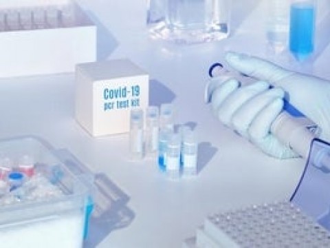 La COVID-19 no ha mutado en diferentes tipos de virus, seg&uacute;n un nuevo estudio