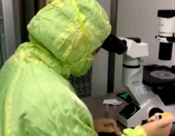 Reino Unido prueba con &eacute;xito vacuna contra el COVID-19 en monos y comienza aplicarse en humanos 