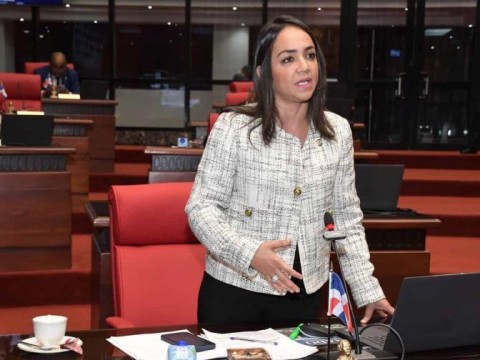 Faride insta al PRM a definir sin m&aacute;s demora la boleta de la capital