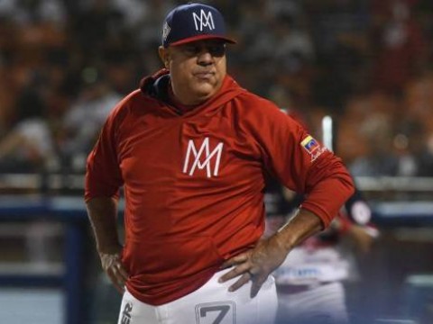 Tigres del Licey nombran nuevo dirigente para la temporada 2020-21