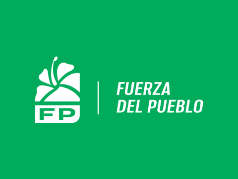 Fuerza del Pueblo pide Junta Central Electoral audite padr&oacute;n electoral