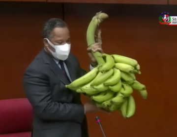 Con su racimo en mano, Senador Dionis S&aacute;nchez pide apoyo a sector agropecuario en Pedernales