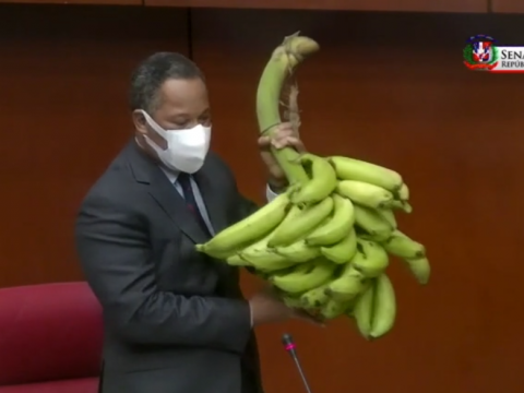 Con su racimo en mano, Senador Dionis S&aacute;nchez pide apoyo a sector agropecuario en Pedernales