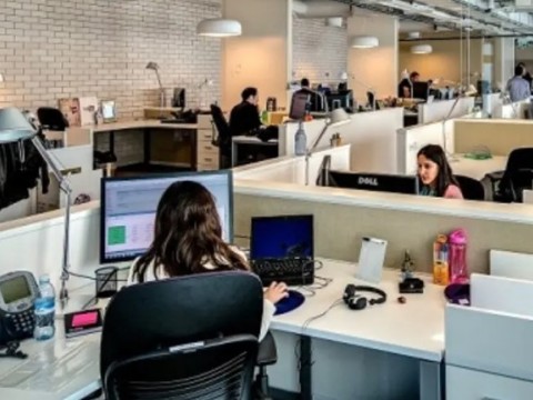 En lo laboral se incorporan nuevos empleos formales