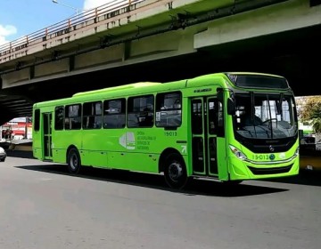 Autobuses de la OMSA transportar&aacute;n servidores de Obras P&uacute;blicas