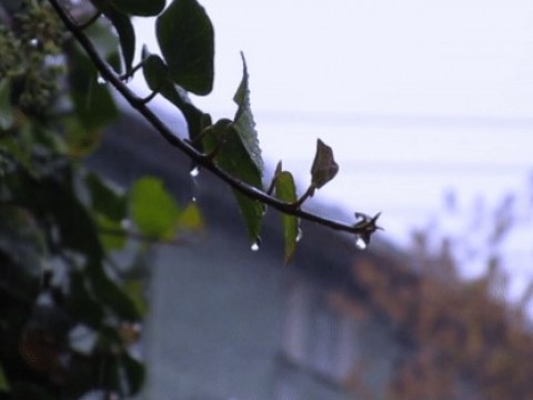 Lluvias d&eacute;biles y temperaturas agradables para este jueves