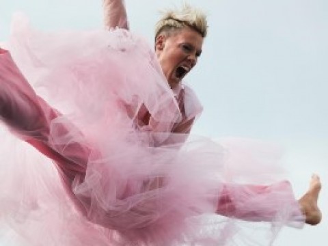 P!NK  LANZA SU NOVENO &Aacute;LBUM DE ESTUDIO