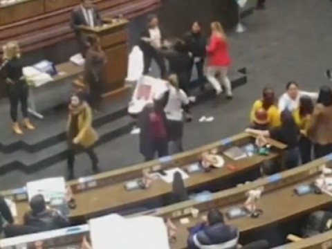Congresistas bolivianas se agreden a golpes en medio de sesi&oacute;n parlamentaria