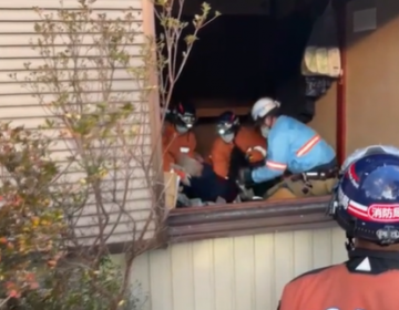 Un perro salva a una anciana en Jap&oacute;n 72 horas despu&eacute;s del terremoto
