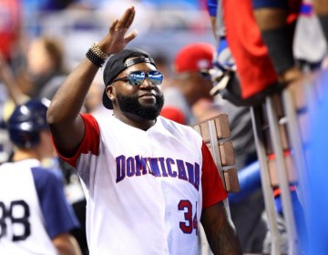 David Ortiz, Tony Batista, Juanchy S&aacute;nchez y Guigu&iacute; Lucas ser&aacute;n exaltados por la CBPC
