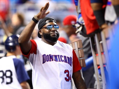David Ortiz, Tony Batista, Juanchy S&aacute;nchez y Guigu&iacute; Lucas ser&aacute;n exaltados por la CBPC