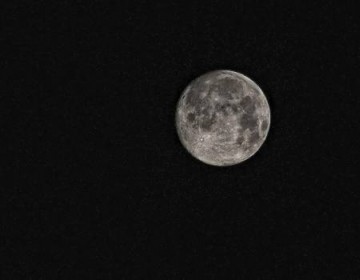 Rusia no permitir&aacute; la privatizaci&oacute;n de la Luna, seg&uacute;n director de Roscosmos