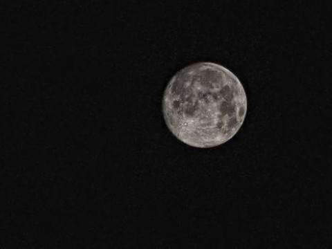 Rusia no permitir&aacute; la privatizaci&oacute;n de la Luna, seg&uacute;n director de Roscosmos