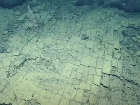 Descubrieron un &ldquo;camino de ladrillos&rdquo; en el fondo del oc&eacute;ano Pac&iacute;fico, &iquest;de qu&eacute; se trata realmente?